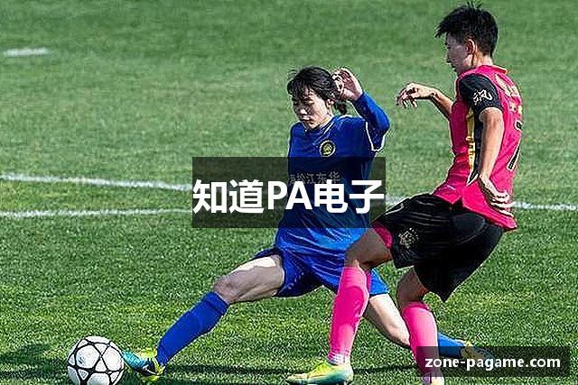 知道PA电子
